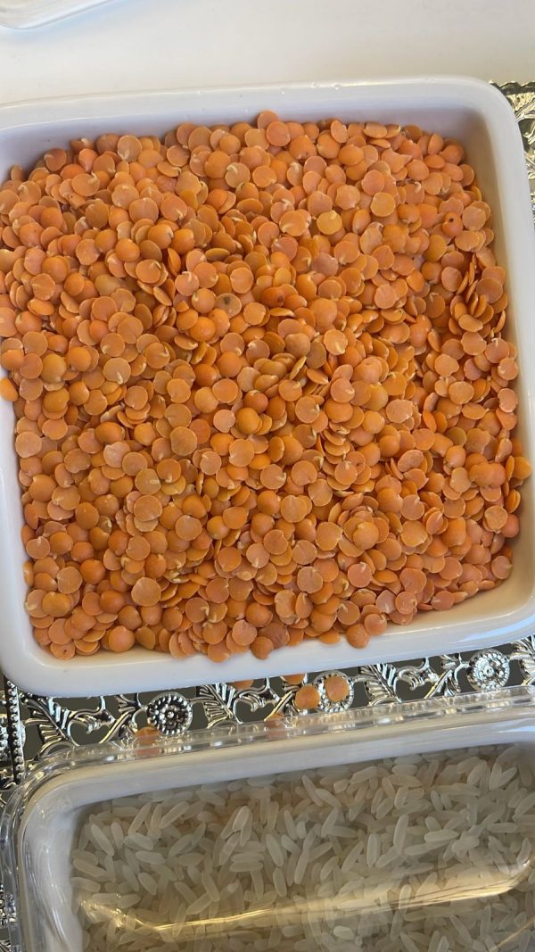 Red Lentils