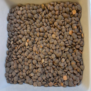 Grains & Pulses
