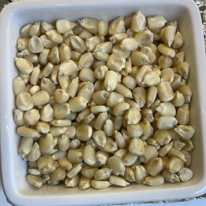 White Maize